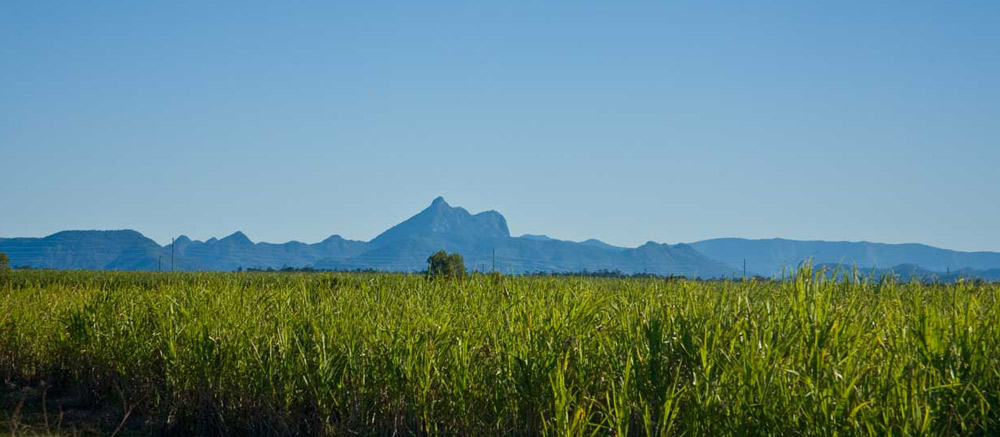 MountWarning